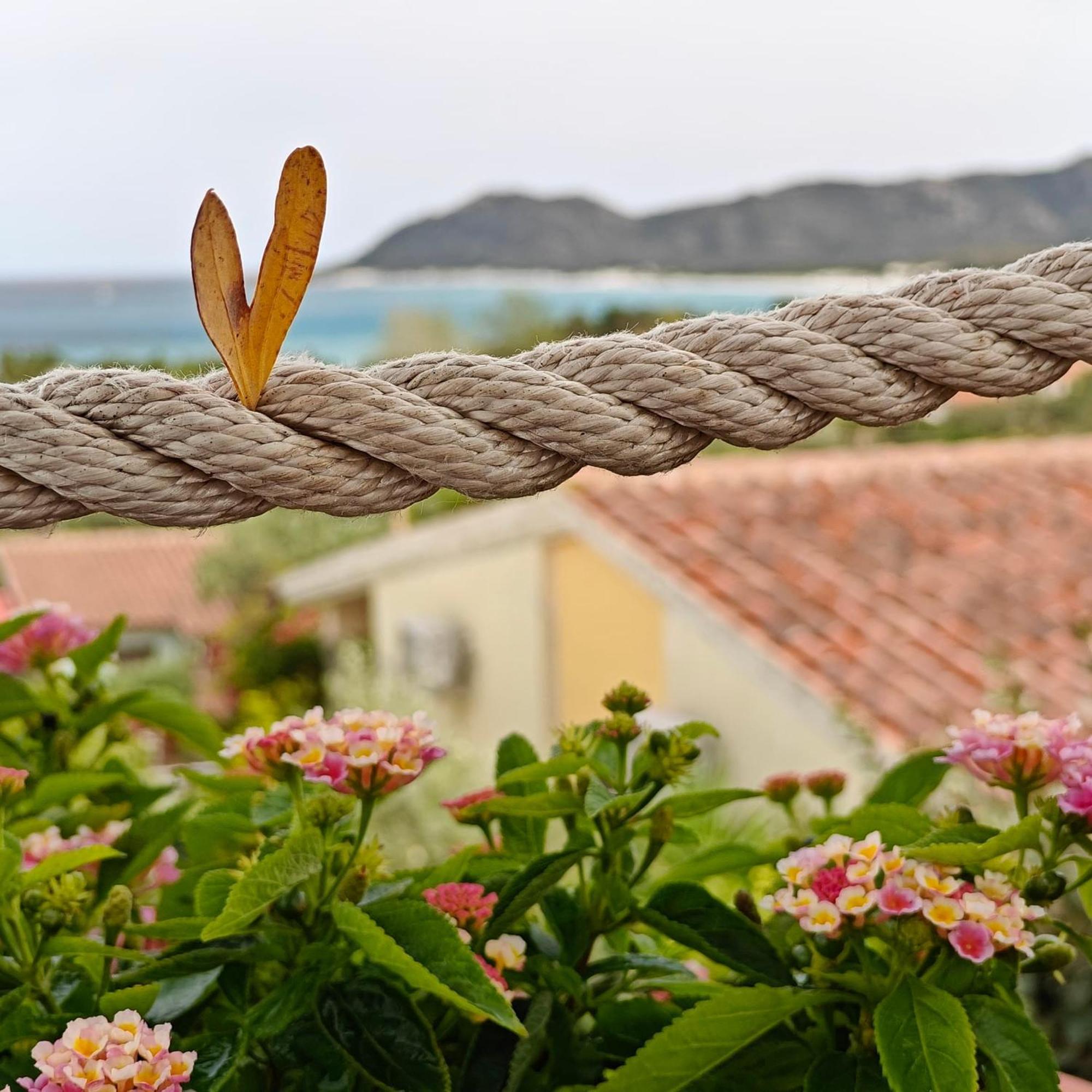 Villa Grazia Santa Lucia (Sardinia) Exterior foto